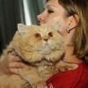 Выставка кошек 2012 - владельцы, питомцы и конкурсы